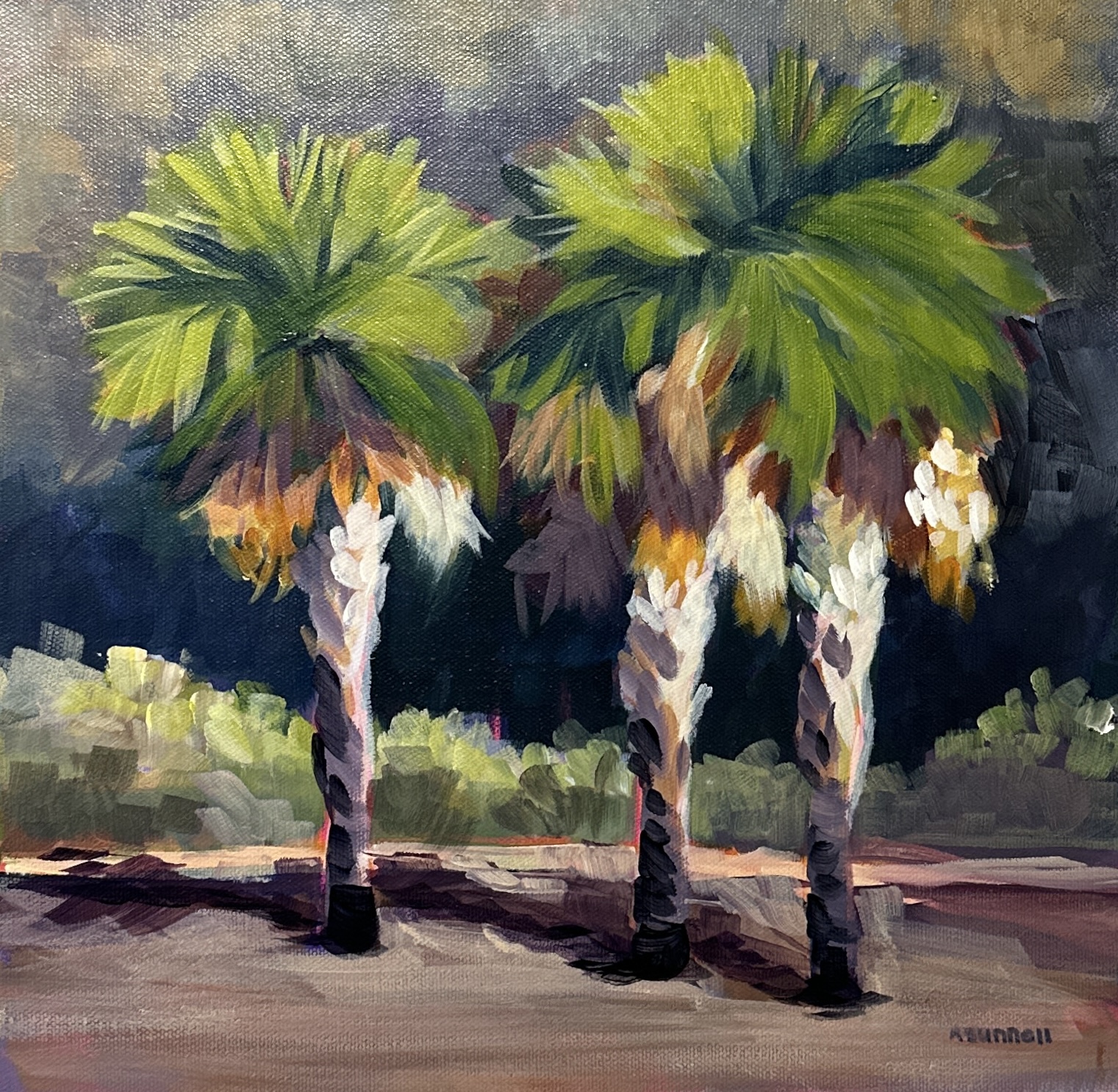 Palm Trees - acrylic by Rachel Sunnell